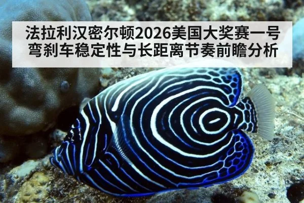 法拉利汉密尔顿2026美国大奖赛一号弯刹车稳定性与长距离节奏前瞻分析
